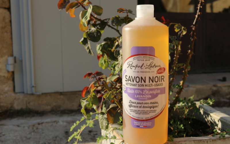 Peut-on utiliser le savon noir contre les pucerons ?