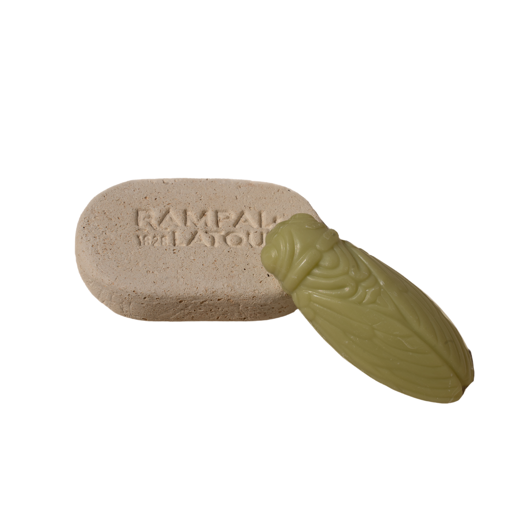 Pierre corps argile exfoliante rectangulaire