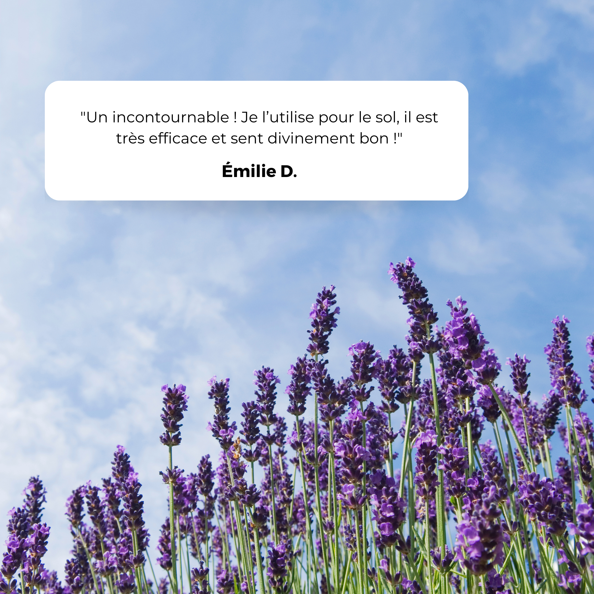 Savon noir à l'huile de lin Lavandin 1L - Ecodétergent