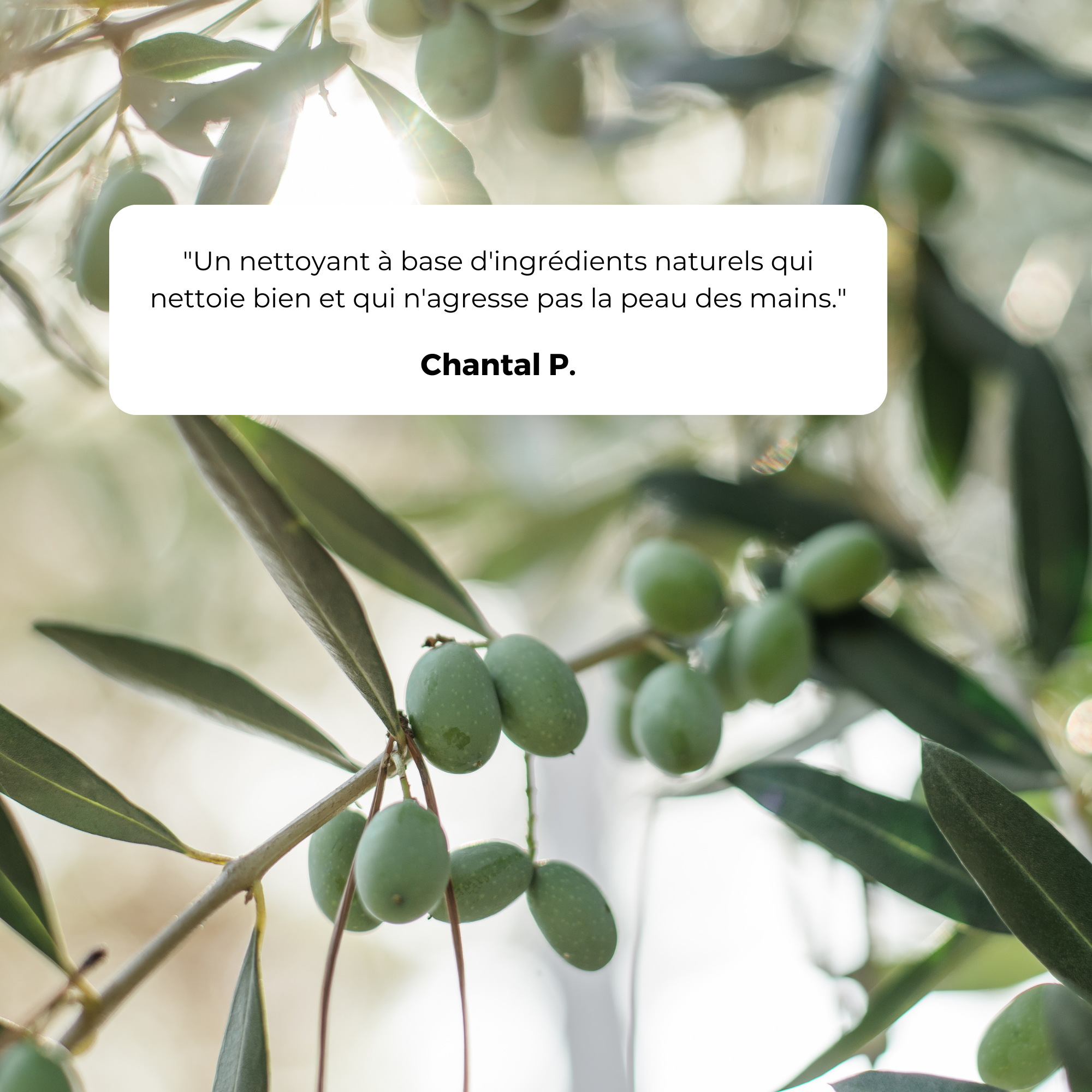 Savon noir à l'huile d'olive 5L - Ecodétergent