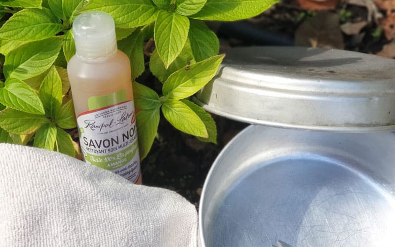 Pourquoi utiliser son savon noir sur des plantes ?